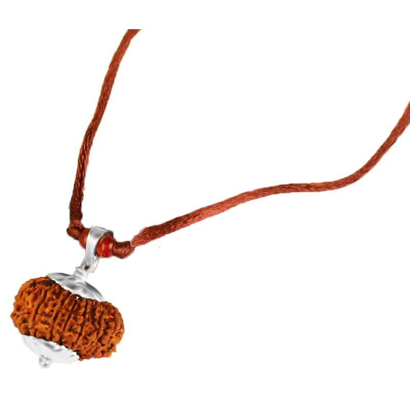 15 Mukhi Rudraksha Nepal Silver Capped Pendant In Thread 28mm 29mm At